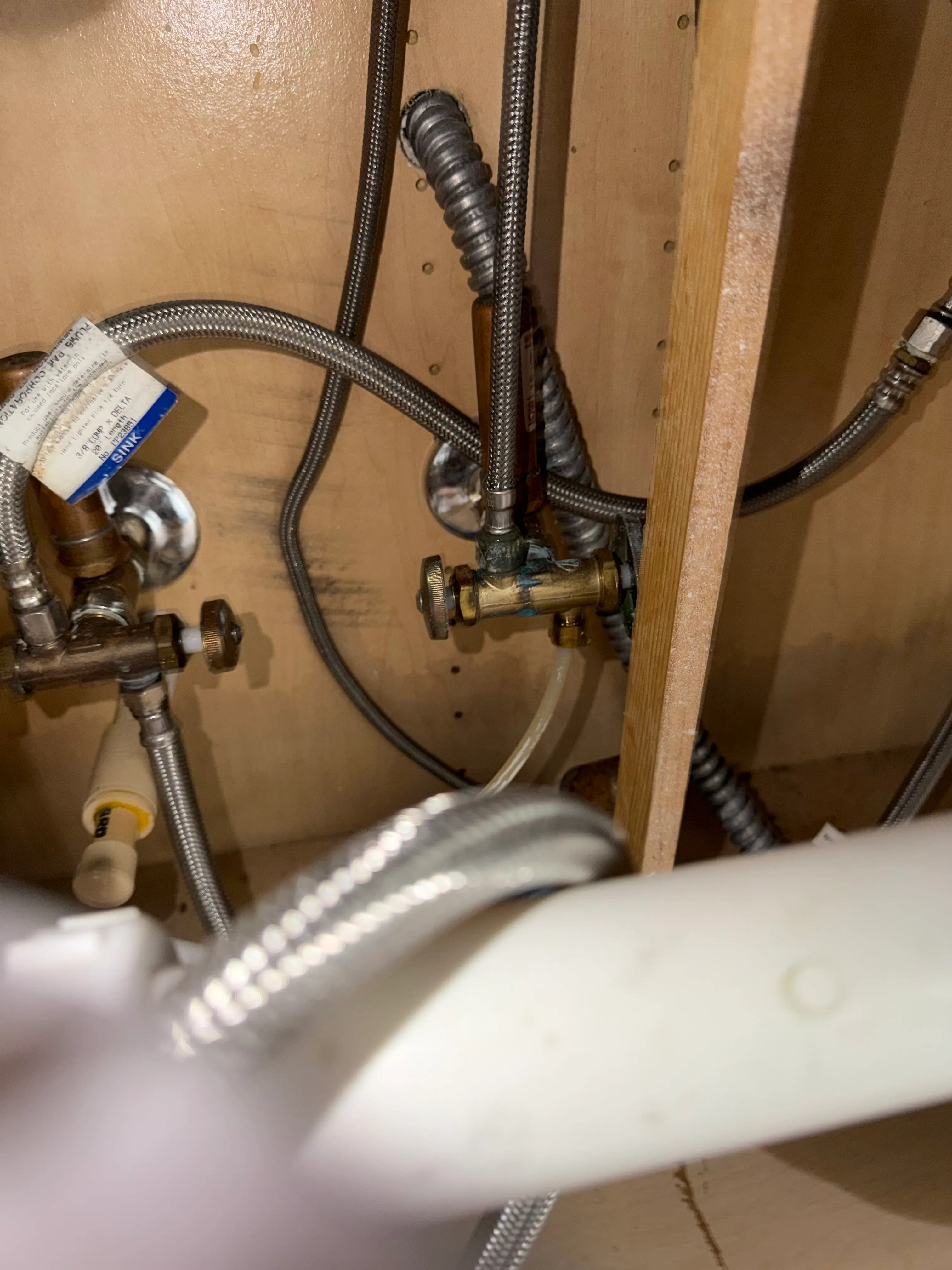 Emergency plumber inspecting under sink leak in Palm Harbor FL